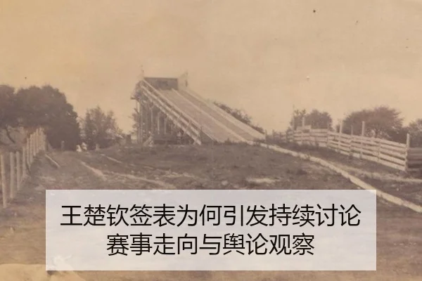 wang-chu-qin-qian-biao-wei-he-yin-fa-chi-xu-tao-lun-sai-shi-zou-xiang-yu-yu-lun-guan-cha-2-194.jpg