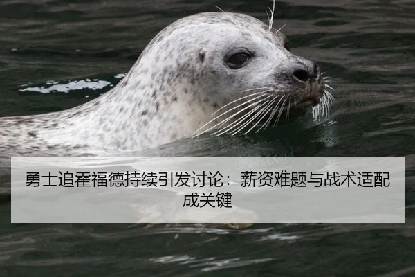 勇士追霍福德持续引发讨论：薪资难题与战术适配成关键